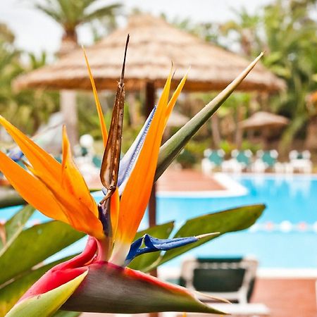 Baia Delle Palme Beach Санта Маргерита ди Пула Екстериор снимка